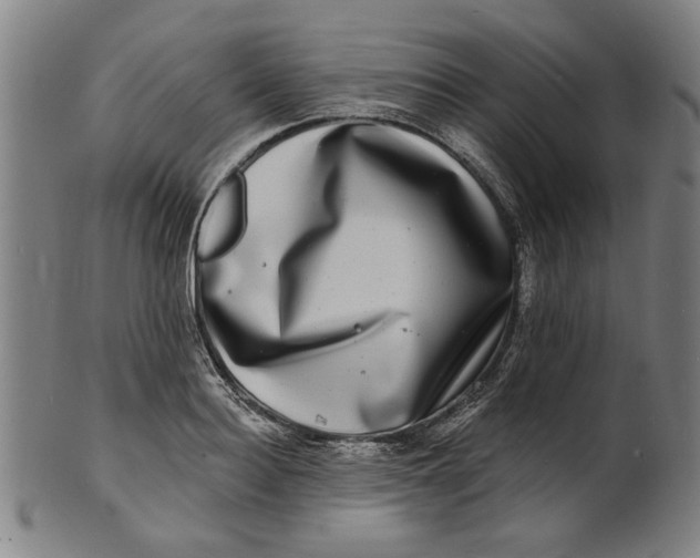 X0000100840940200807111148