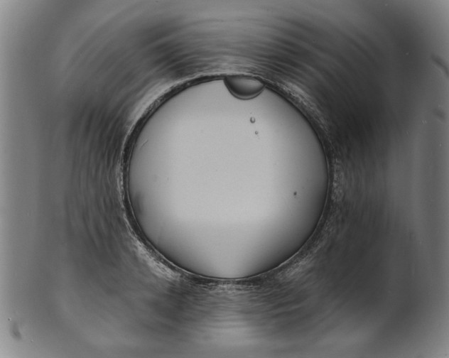 X0000100840942200807111148