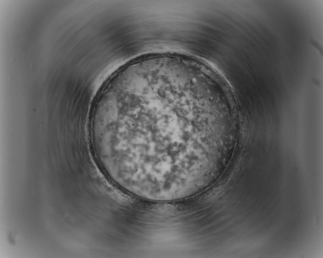 X0000100840943200807111148