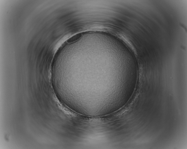 X0000100840944200807111148