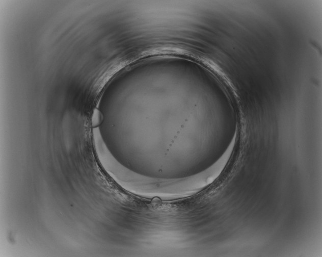 X0000100840945200807111148