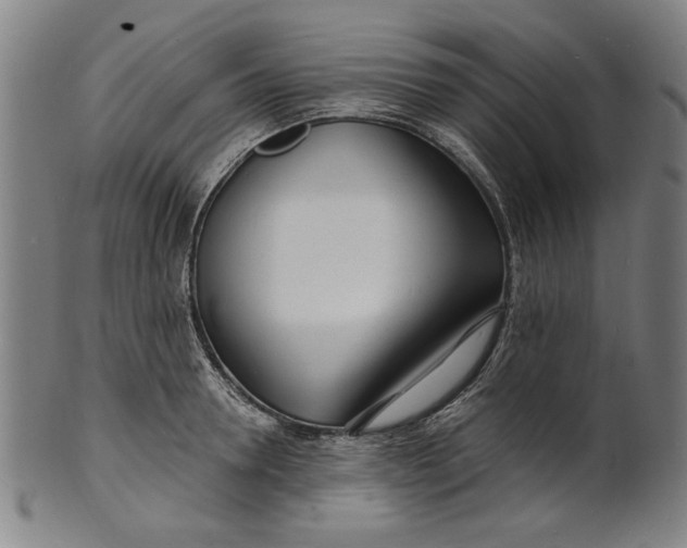 X0000100840946200807111148