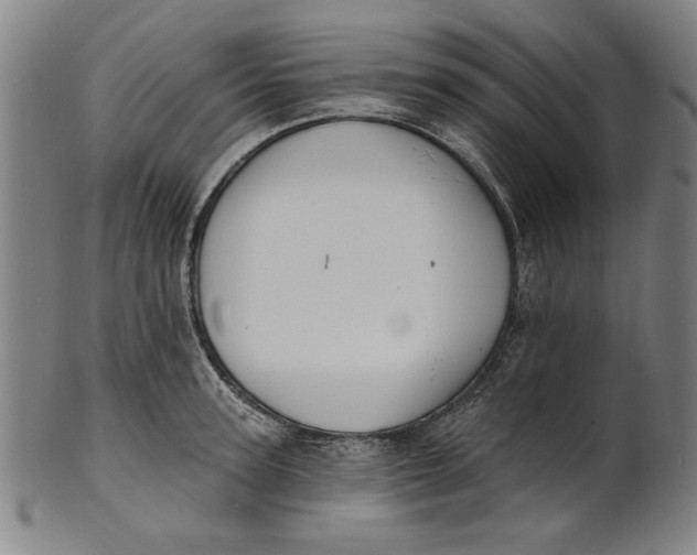 X0000100840947200807111148