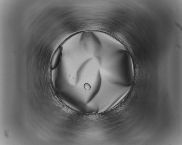 X0000100840948200807111148