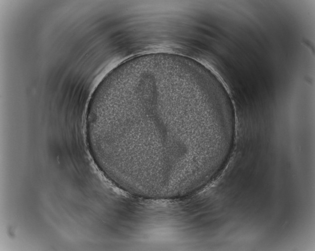 X0000100840949200807111148