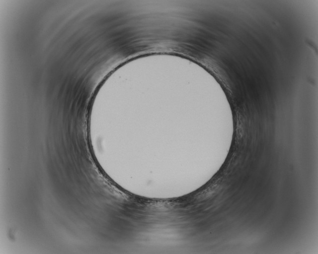 X0000100840950200807111148