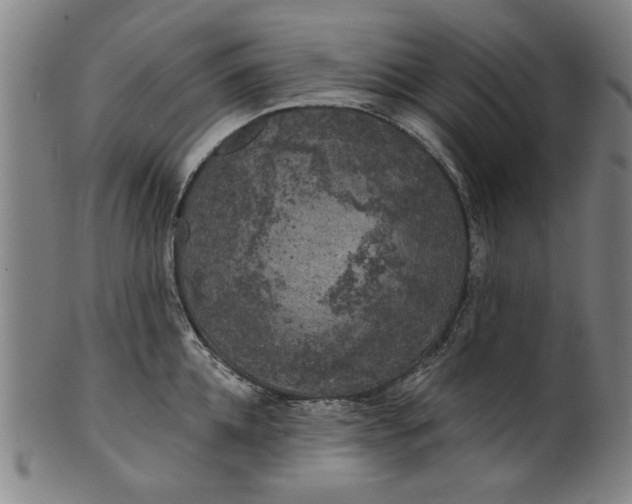 X0000100840952200807111148