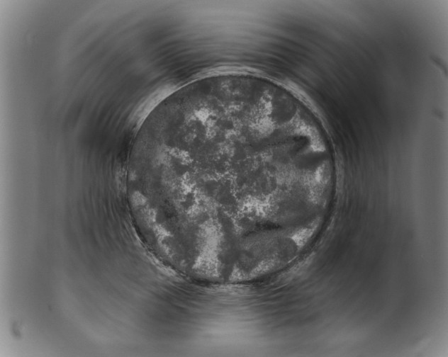 X0000100840953200807111148