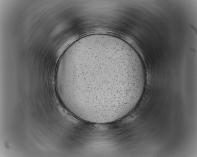 X0000100840954200807111148