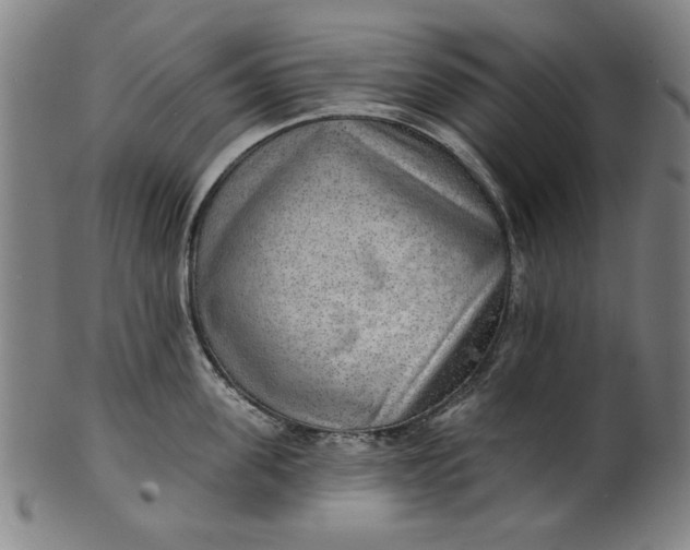 X0000100840955200807111148