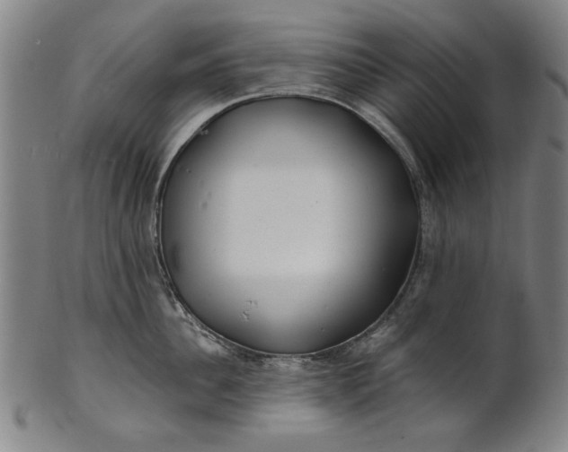 X0000100840956200807111148