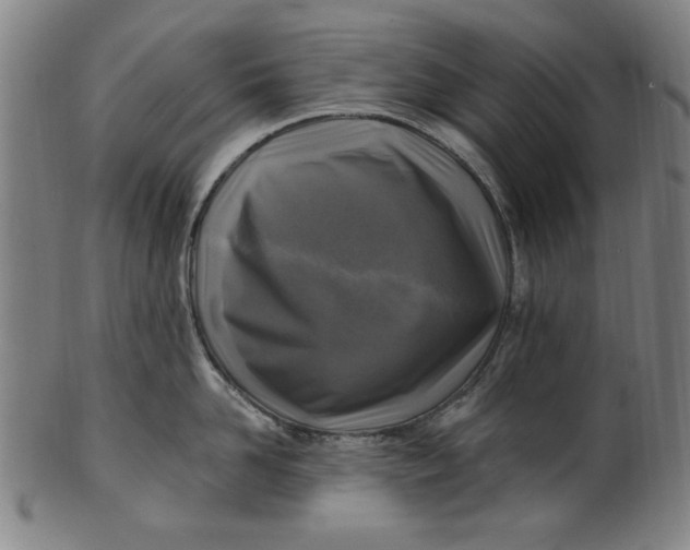 X0000100840958200807111148