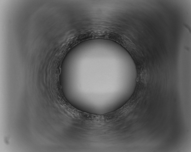 X0000100840961200807111148