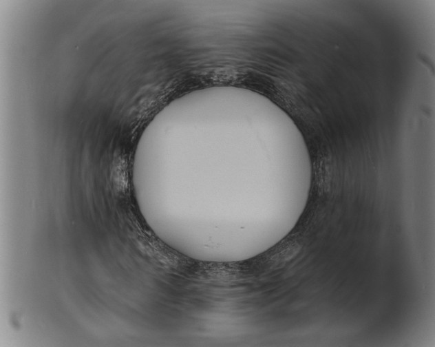 X0000100840962200807111148