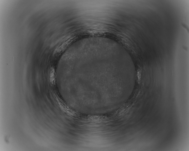 X0000100840963200807111148