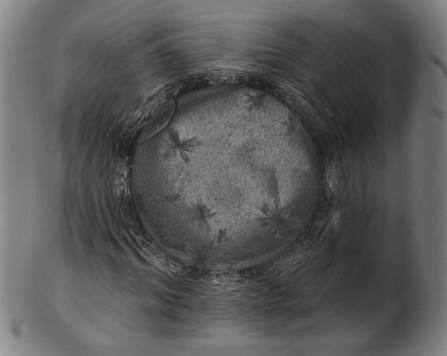 X0000100840964200807111148