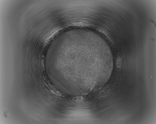 X0000100840968200807111147