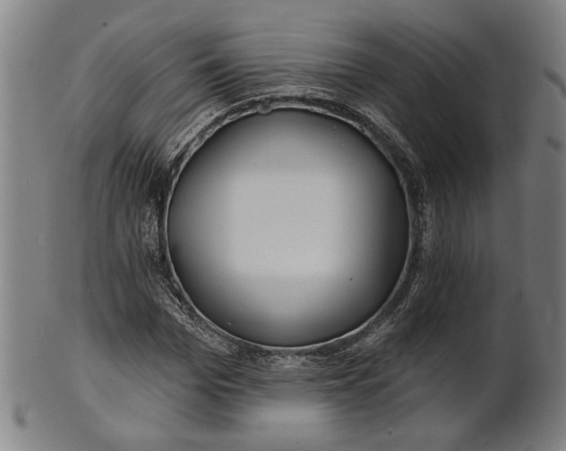 X0000100840969200807111147