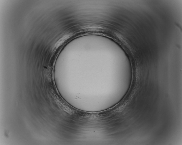 X0000100840970200807111147