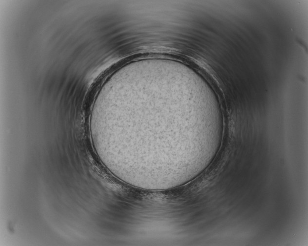 X0000100840971200807111147