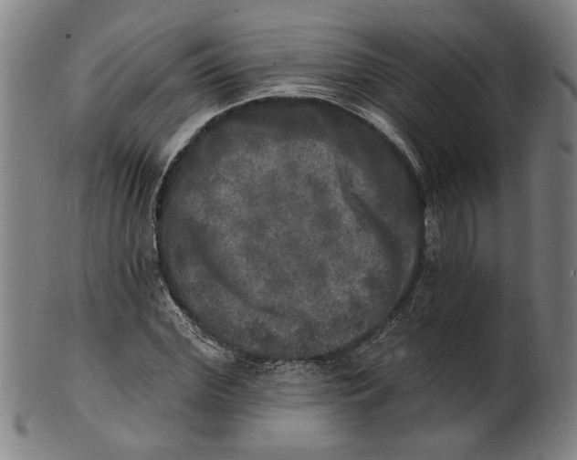 X0000100840972200807111147