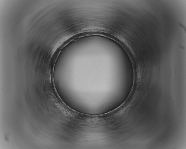 X0000100840973200807111147