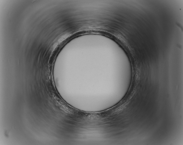 X0000100840974200807111147