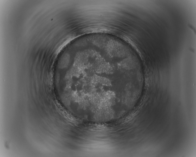 X0000100840975200807111147