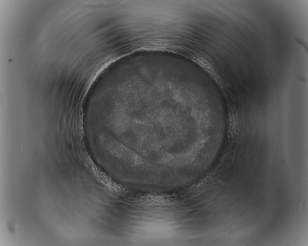 X0000100840976200807111147