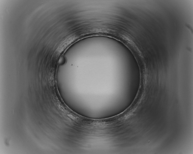 X0000100840977200807111147