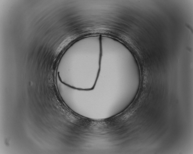 X0000100840978200807111147