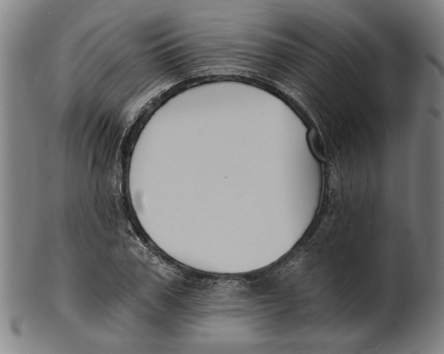 X0000100840979200807111147