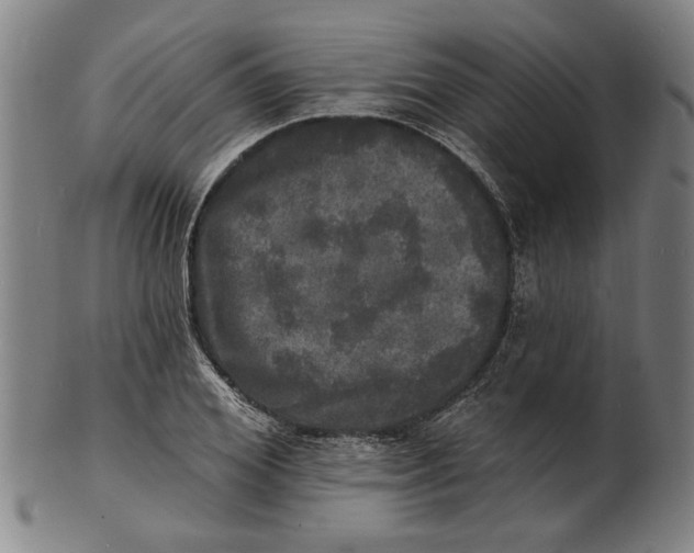 X0000100840980200807111147