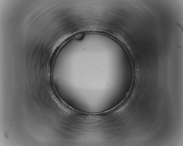 X0000100840981200807111147