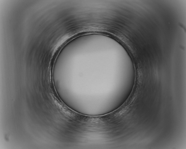 X0000100840982200807111147