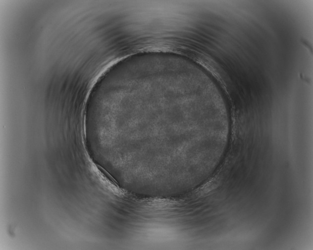 X0000100840984200807111147