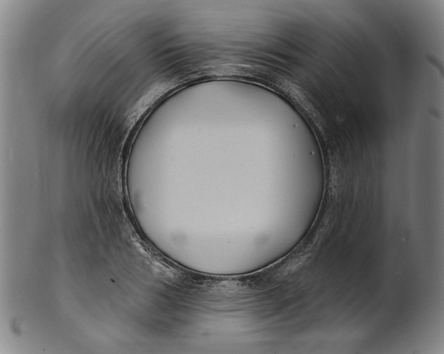 X0000100840986200807111147