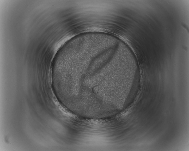 X0000100840987200807111147