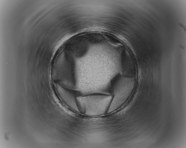 X0000100840989200807111147