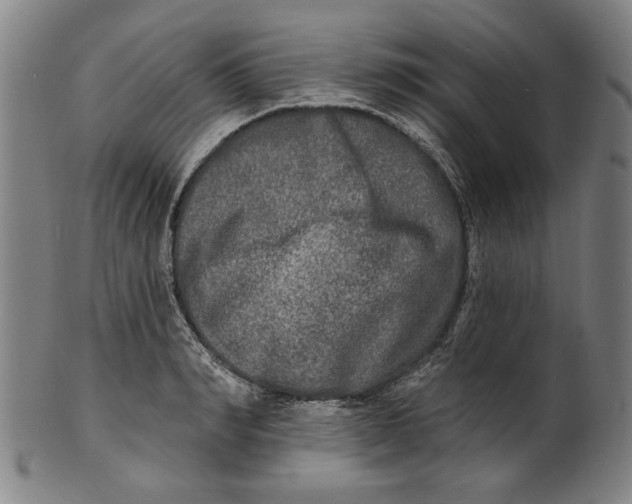 X0000100840990200807111147