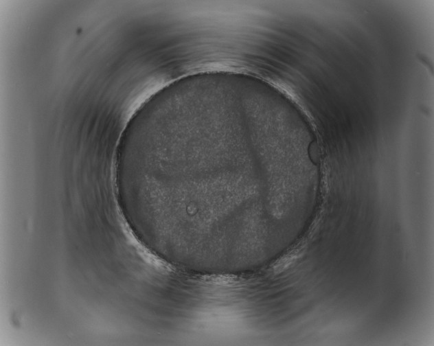 X0000100840991200807111147