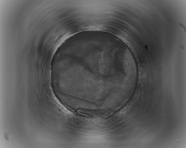 X0000100840992200807111147