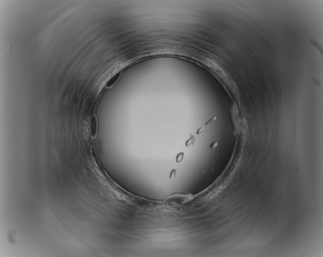 X0000100840993200807111147