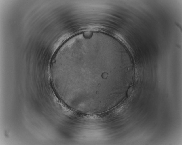 X0000100840994200807111147