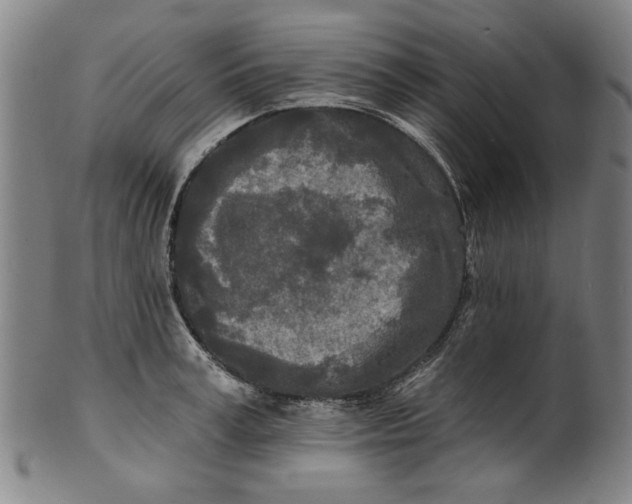 X0000100840995200807111147