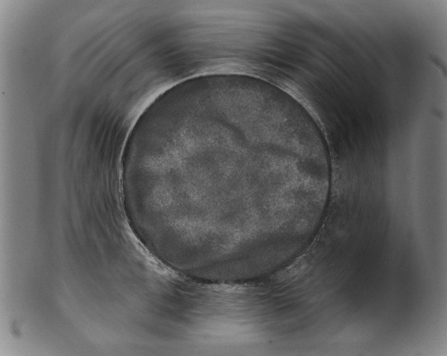 X0000100840996200807111147