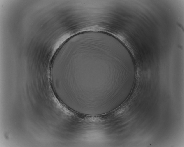 X0000100840998200807111147