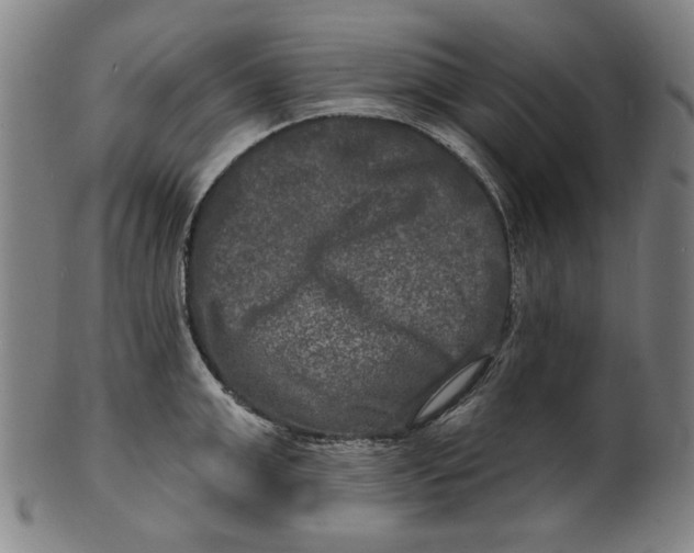 X0000100840999200807111147