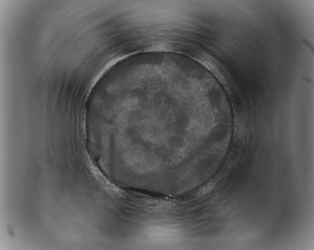 X0000100841000200807111147