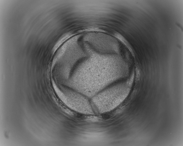 X0000100841002200807111147